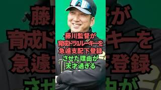 藤川監督が育成ドラ1ルーキーを急遽支配下登録させた理由が天才過ぎる