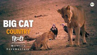 Punks on the Run - Big Cat Country 3, हिन्दी डॉक्यूमेंट्री | Wildlife documentary in Hindi