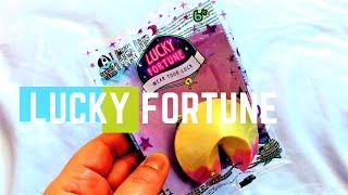 Lucky Fortune - "Wear Your Luck" - Fortune Cookie  //Petunia Toys (Episode 13)