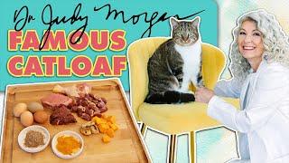 Making Catloaf with Dr. Judy Morgan