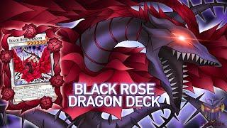 ROSE DRAGON: BLACK ROSE DRAGON W/ ANCIENT FAIRY DRAGON - NATURIA ENGINE | YuGiOh! Master Duel