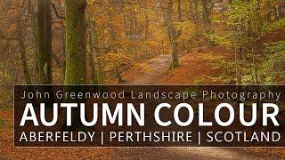 Photographing Autumn Colour, Part 1| Landscape Photography