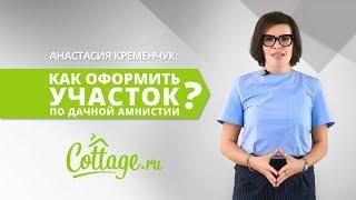 Дачная амнистия | ПЯТИМИНУТКА