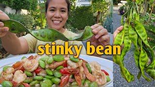 Why It's called stink bean?