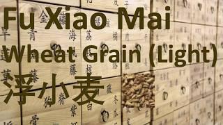 84 Chinese Herbal Medicine, Traditional Chinese Medicine - Fu Xiao Mai (Light Wheat Grain) 浮小麦-中医 中药