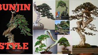 50 Inspirasi Bonsai Literati (Bunjin Style) Part 1