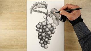 Arts Academy HD | How to draw grapes in easy steps | drawing | drawing tutorial for beginners