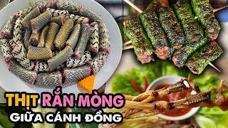 RẮN MÙNG Đủ Món Cùng Vũ Nữ Chân Dài Ngon Hết Nước Chấm