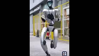 WATCH humanoid robot perform kung fu