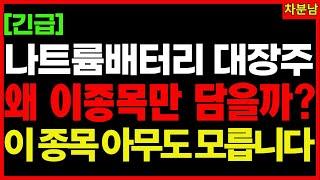 왜 종목만 담을까? 아무도 모르는 배터리대장주 이 종목 ‘딱 3개’만 기억하세요 이차전지관련주 2차전지 전고체 나트륨배터리 전고체배터리 전기차 수소차 기적의투자 차분남