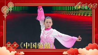 武术Top5 《中国骄傲》国家武术队【2017年央视春晚】｜订阅CCTV春晚