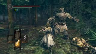 Dark Souls Remastered: RAGDOLL PHYSICS