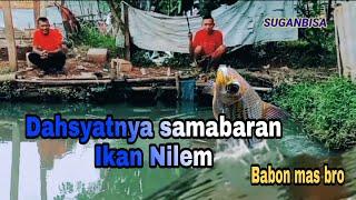 Sambaran ikan nilem @mancingmania8770