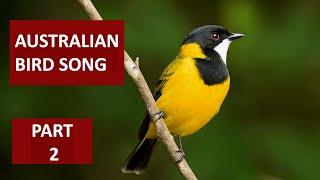 AUSTRALIAN BIRDSONG PART 2. A celebration of the songs and calls  of the Australian Bush. #birdsong