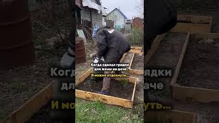 Какие планы у вас на дачный сезон? #новосибирск #дачныйвлог #дача #дачныйсезон #грядки