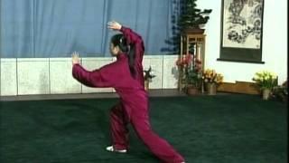 42-step tai chi (tàijíquán)