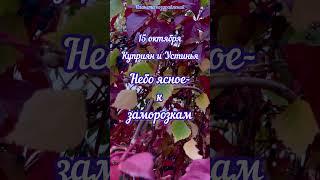 15 октября Куприян и Устинья, приметы дня #планетапоздравлений #15октябряприметы #15октябряпраздники