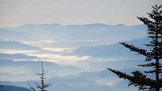 America's 50 Most Visited National Parks