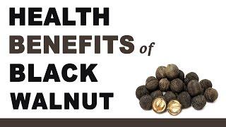 Health Benefits of Black Walnut