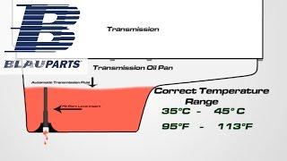 How To Check and Fill VW Passat Transmission Fluid aka VW Passat ATF Level Aisin 6 Speed 09M