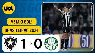 BOTAFOGO 1 X 0 PALMEIRAS - CAMPEONATO BRASILEIRO 2024; VEJA O GOL