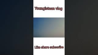 Beautiful bird flying #shorts #youngistaanvlog #viral #ytshorts