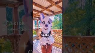 X3 I can tell. #furry #furries #fursuit #viral #tiktok #fyp #shorts