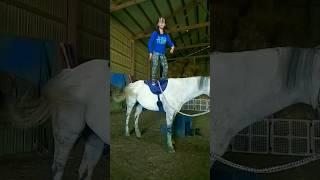 @Triplecharm please comment tough boy dance oh horseback #horse #katerina #horseriding