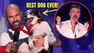 Hurricane The Dog: THE BEST DOG ACT IN AGT HISTORY!