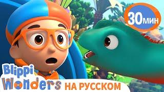 Знакомство Динозавров | Обучающие мультики для детей | Blippi Russian