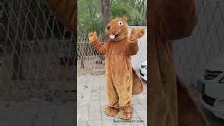 Funny brown beaver full body BIGGYMONKEY.COM ® Costume Mascot with big teeth