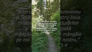 2 Corinteni 1:3-4 Dumnezeul tuturor mângâierii #creștini #biblie