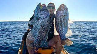 Fast Way to CATCH West Australians Favourite Fish ( Huge Channel News )