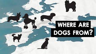 Where Every Dog Breed Came From