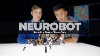 Neurobot: Robotics Meets Stem Cells