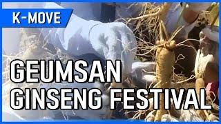 [K-MOVE] Geumsan Ginseng Festival / YTN KOREAN