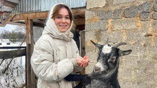 The life of a young family of farmers in a Russian village