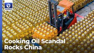 China To Probe Cooking Oil Contamination + More Global Business Stories