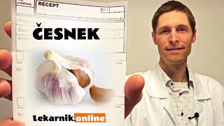 Česnek (9 min)