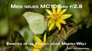 Mein neues NIKKOR Z MC 105mm f/2.8 VR S - Lichtgebildet auf Macro Entdeckungsreise | Objektivtest |