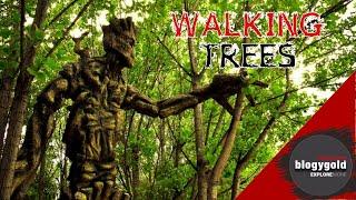 Have you ever seen a tree walk?.. that’s will shock you