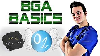 BGA BASICS EINFACH ERKLÄRT! Pao2, PH und Co!