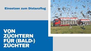 Von Züchtern für Bald Züchter: Einsetzen