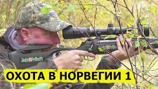 Охота в Норвегии (без цензуры) 1/ NORDIC WILD HUNTER (Охотник и рыболов)