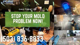 Mold Inspection Reedville Beaverton Oregon - Pure Maintenance Beaverton - 503-836-8833