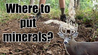The Best Place to Put Minerals for Deer