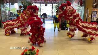 新加坡玄威龍獅學院 Singapore Xuan Wei Dragon & Lion Dance Troupe