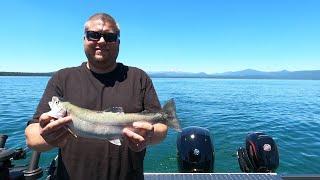 Fishing Lake Almanor trolling for trout