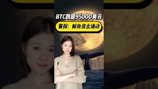 警報：鯨魚資金湧動，BTC跌回95000美元       #比特幣 #熱點新聞 #熱門#btc #鯨魚 #加密貨幣#web3