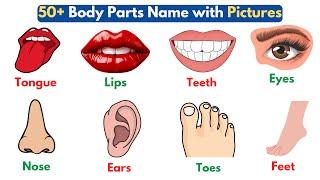 50+ Body Parts Name with Pictures | Parts of Body Name | Human Body Parts